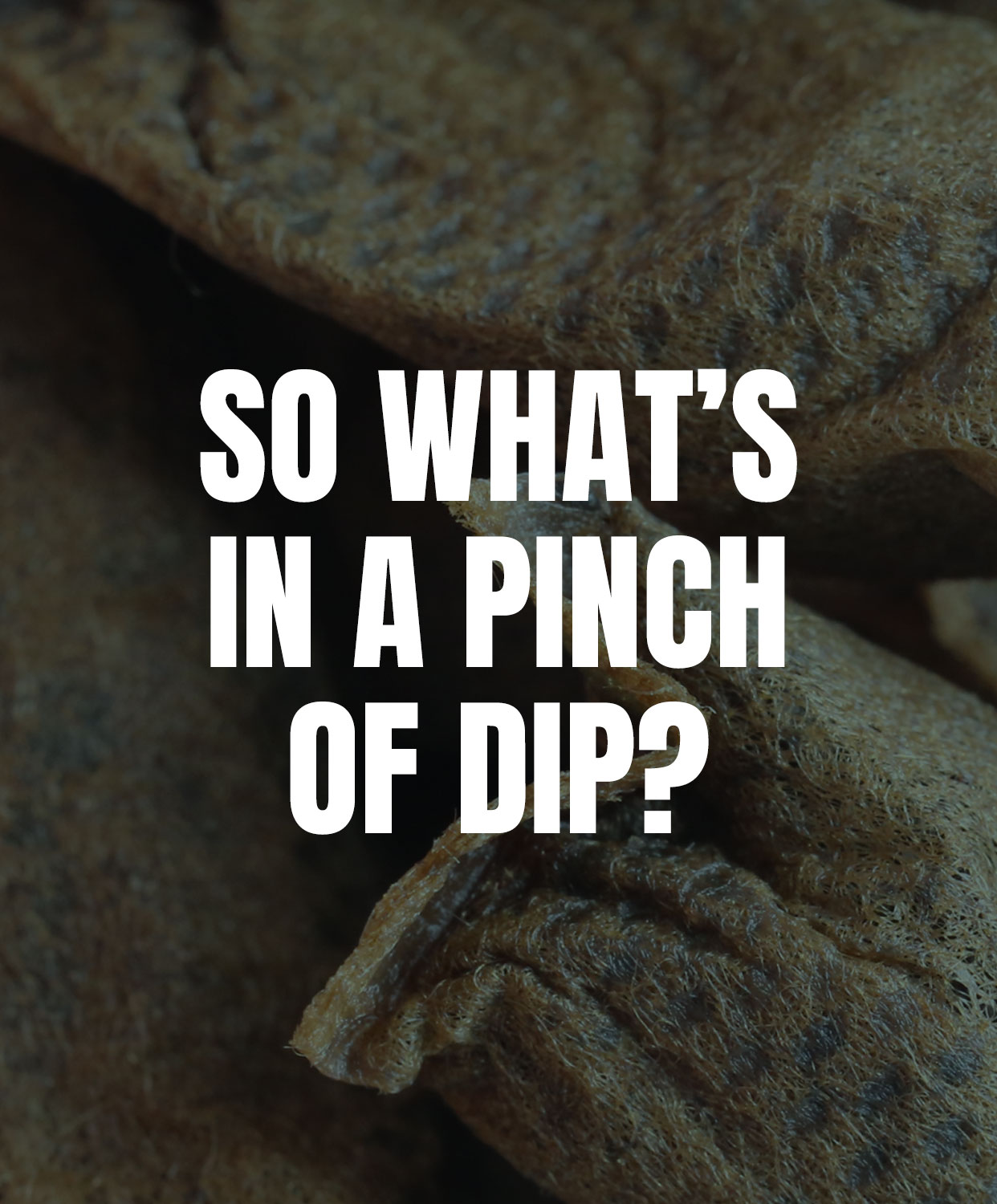 so what's in a pinch of dip?