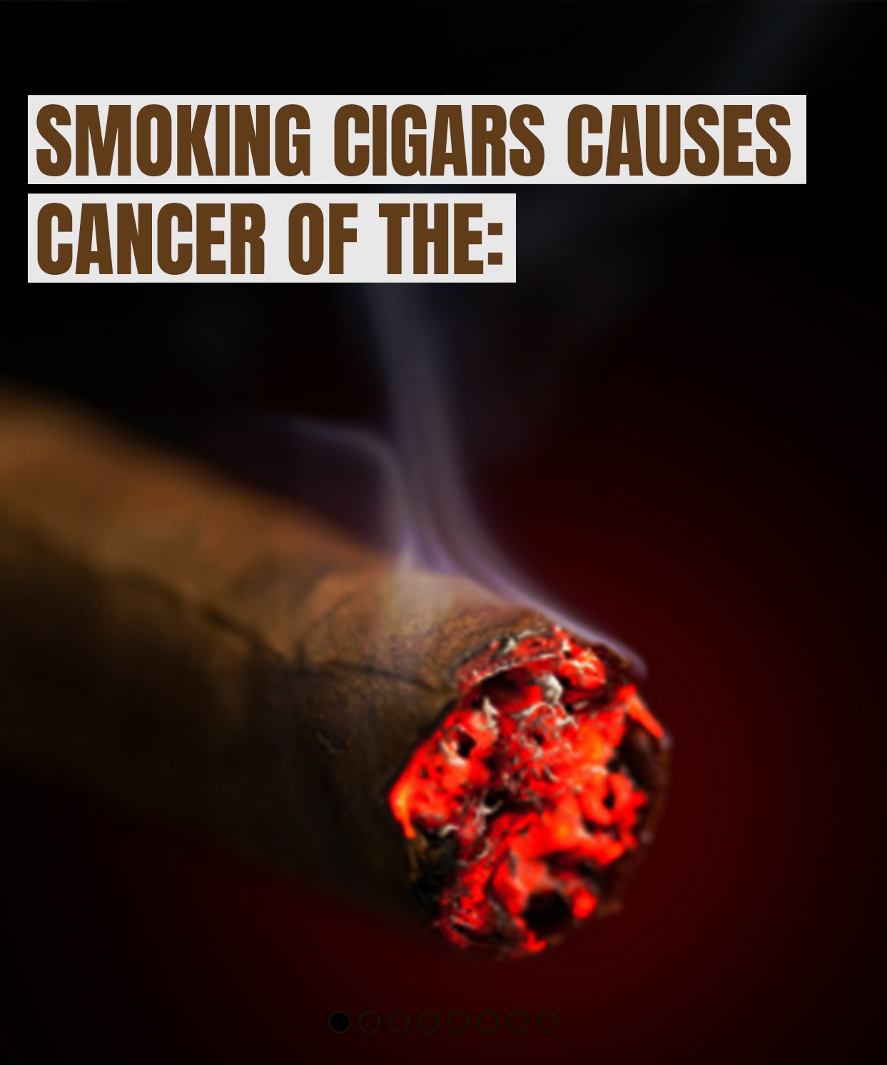 Smoking cigars causes cancer of the:
