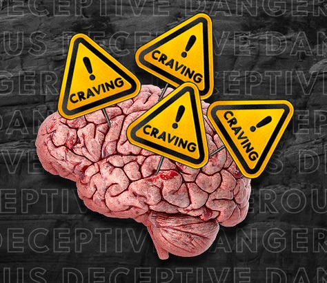 A brain with warning signs that say “Craving!”