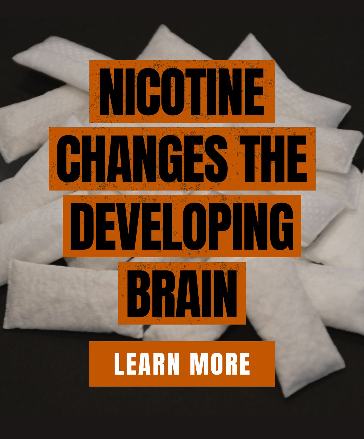 Nicotine changes the developing brain